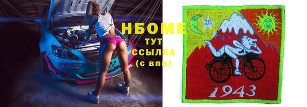 стафф Сосновый Бор