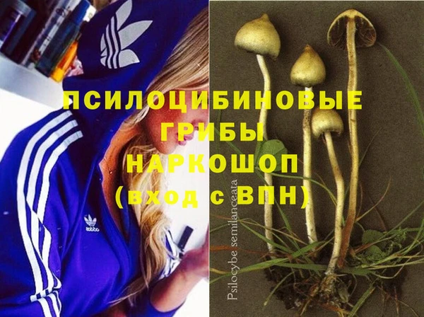 мяу мяу кристалл Няндома