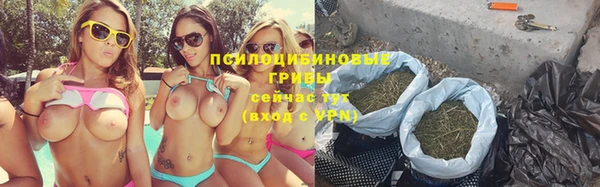 стаф Сосновоборск