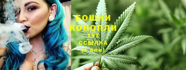 стафф Сосновый Бор