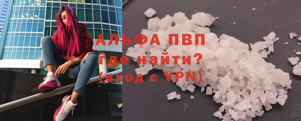 стаф Сосновоборск
