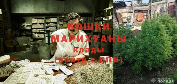 стафф Сосновый Бор