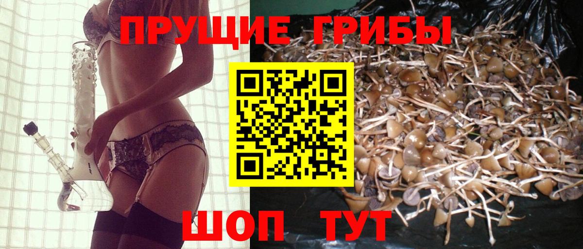 Галлюциногенные грибы GOLDEN TEACHER  Златоуст 