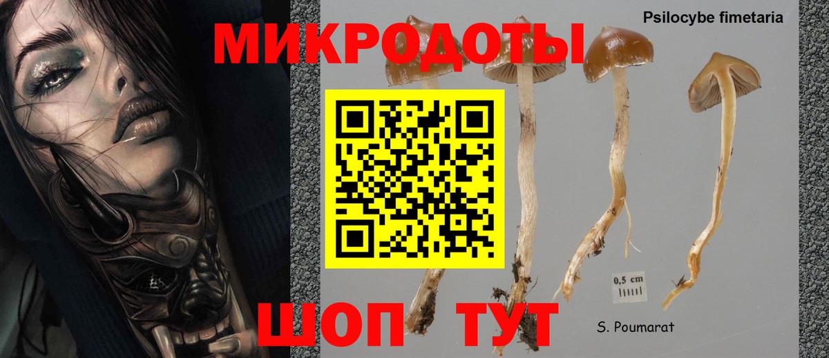 даркнет сайт  Вход с VPN  Златоуст  Галлюциногенные грибы мицелий 